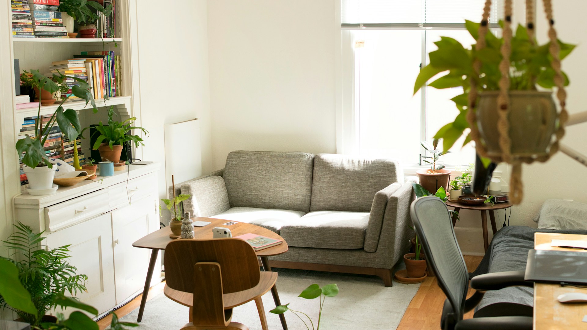 Premium Hostels & Student Accommodation